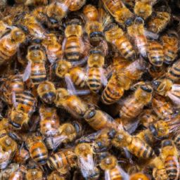 蜂蜜美容护肤小窍门祛斑保湿