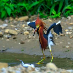 【美容护肤方法和步骤】探索完美肌肤的秘密！实用视频教程分享！