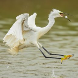 美容护肤的全套步骤及方法：打造健康光彩肌肤