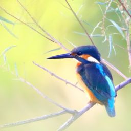 美容护肤步骤的正确顺序及详解