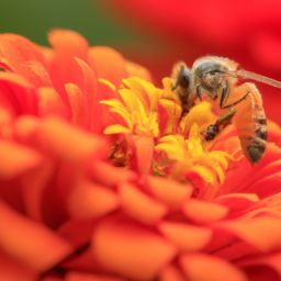 蜂蜜美容护肤的8个方法及蜂蜜每天涂脸15天后效果