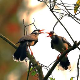 美容护肤话术：拥有青春明眸，轻松呵护美丽肌肤