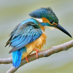 刚怀孕可以做美容护肤吗？会有影响吗？