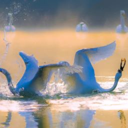 美容护肤属于什么类目及美容护肤属于什么类目行业