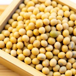 黄豆美容护肤的功效与作用：拯救你的肌肤