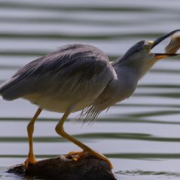 美容护肤是否必要？美丽与健康的秘诀揭晓！