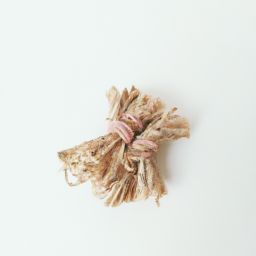 菟丝子美容护肤的功效与作用，赋予肌肤光彩焕发的奇迹植物