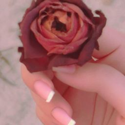 刚出月子可以做美容护肤吗？-保持美丽的疑问与考量