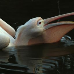 美容护肤原理与技术：为您揭秘