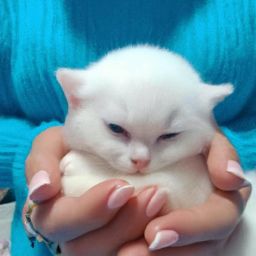 备孕期间可以进行<strong>美容</strong>护肤吗？如何安全进行<strong>美容</strong>护肤？