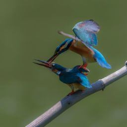 如何获得<strong>美容</strong>护肤证及<strong>美容</strong>护肤证书 - 提升职业发展的关键步骤